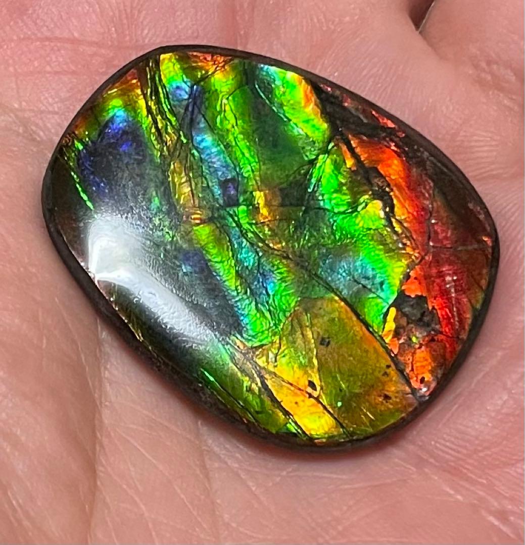 【期間限定セール】アンモライト レインボーカラー ルースストーン