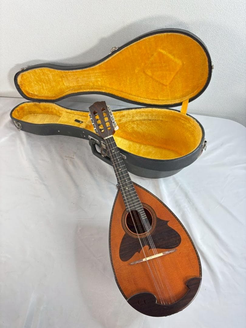 SUZUKI VIOLIN マンドリン No.M-218 ハードケース付き