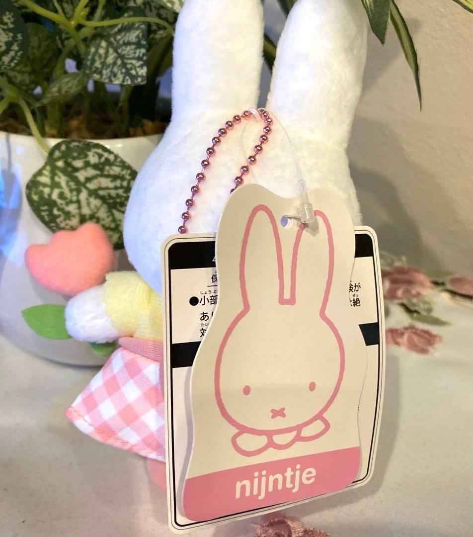 ハウステンボス限定　ブロッサムナインチェ　マスコットキーチェーン　タグ付き