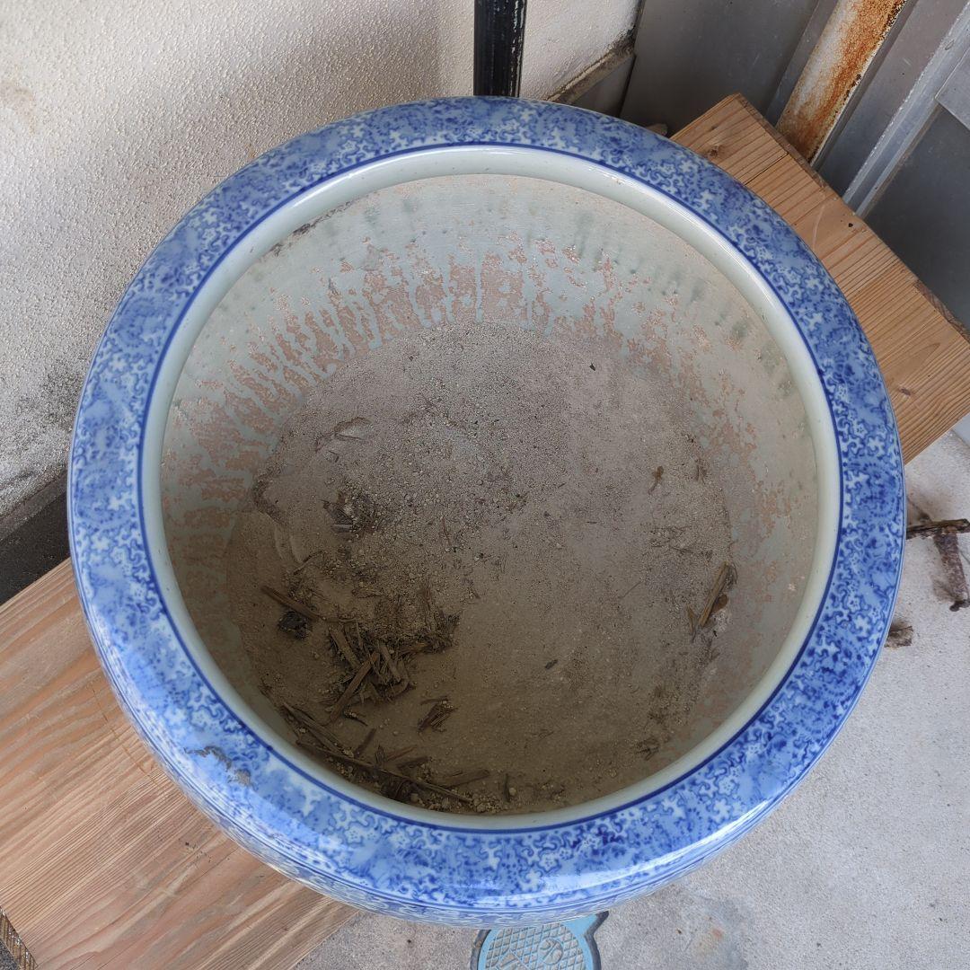 骨董 大型 火鉢 伊万里 染め付け 丸紋 睡蓮鉢 金魚 メダカ 鉢カバー