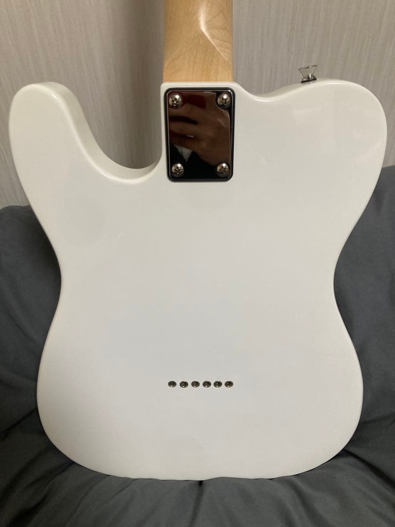 PLAYTECH ( プレイテック ) TL250 テレキャスター