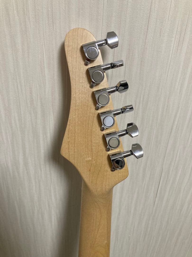 PLAYTECH ( プレイテック ) TL250 テレキャスター