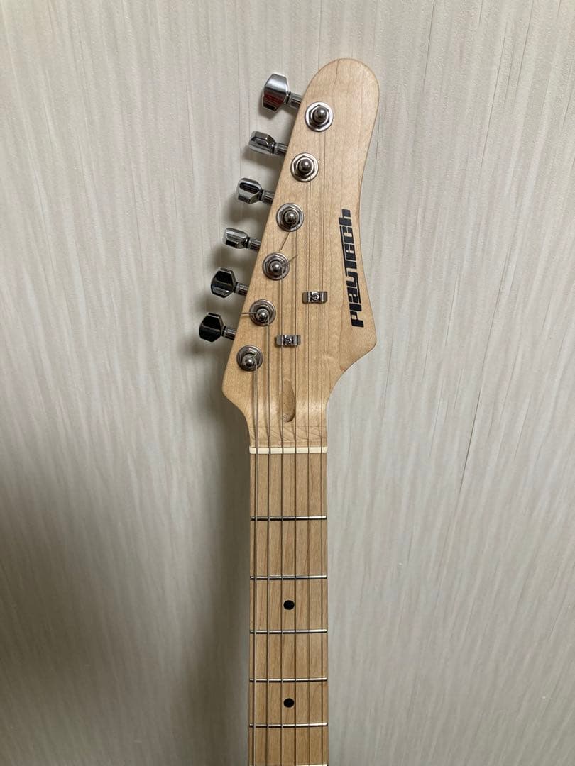 PLAYTECH ( プレイテック ) TL250 テレキャスター