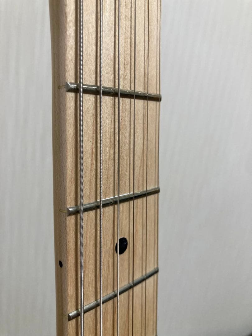 PLAYTECH ( プレイテック ) TL250 テレキャスター