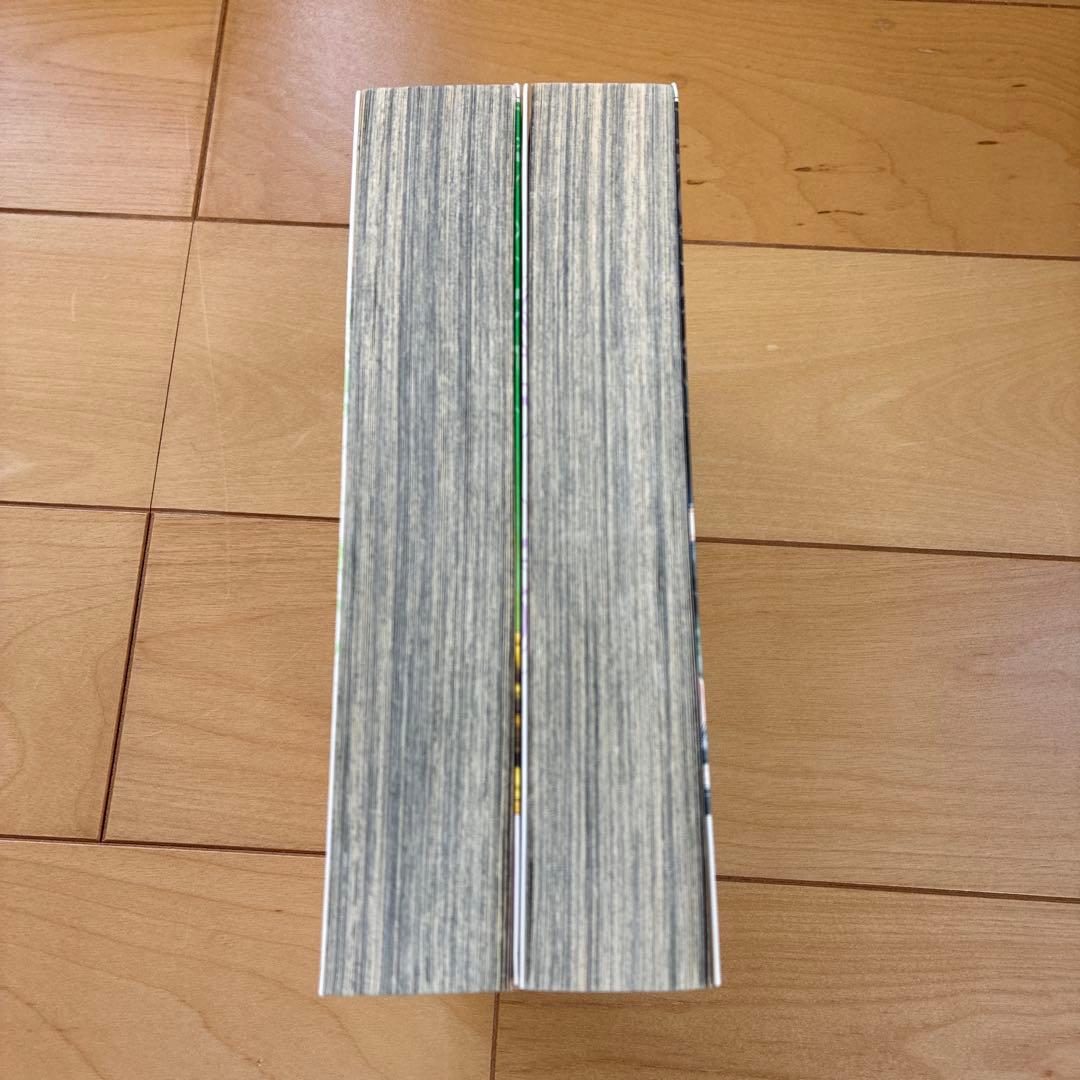 アマテラス 1、2 花とゆめコミックスペシャル　初版発行　美内すずえ