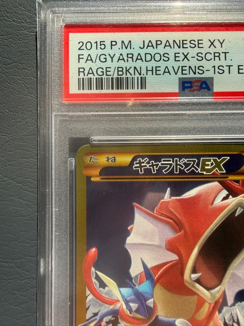 【PSA10 世界791枚】ギャラドスEX UR XY9 破天の怒り