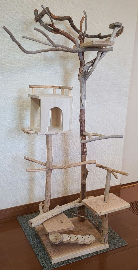 ⑥もちこオーダーページ　バードアスレチック流木　ハンドメイド