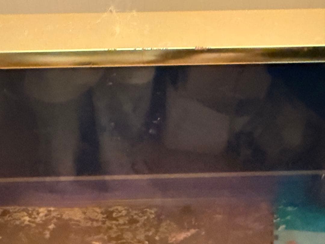 トレンツォリャド Torrents Llado ポスター サイン入り