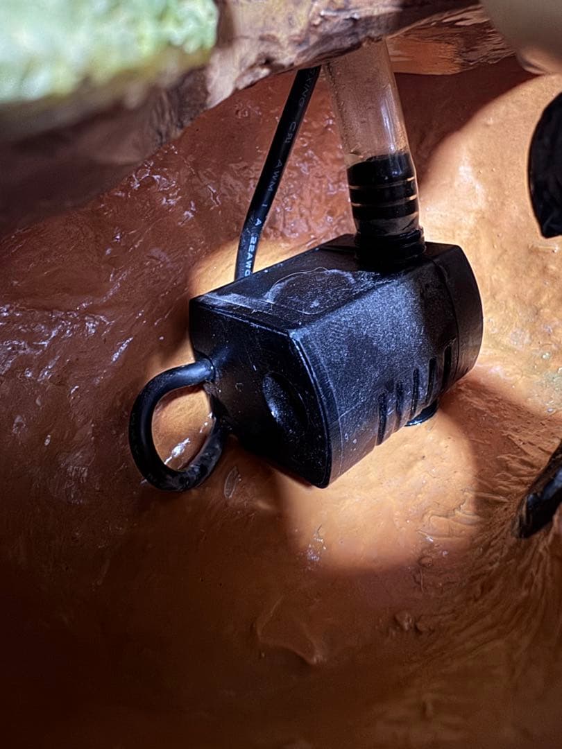 【希少】となりのトトロ　ウォーターガーデン　大中小葉っぱの傘