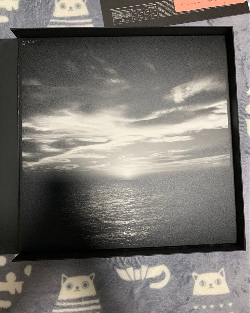 Pay money To my Pain 10周年記念COMPLETE BOX