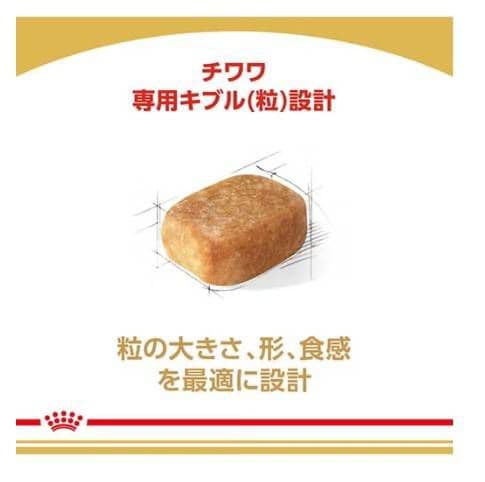  CANIN チワワ 12kg ドライフード