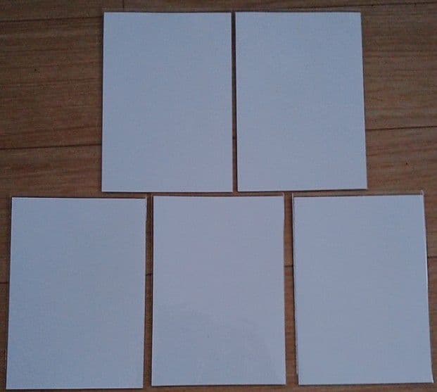 新木優子　写真セット　非売品　特典　レア　希少品　入手困難　貴重品　限定