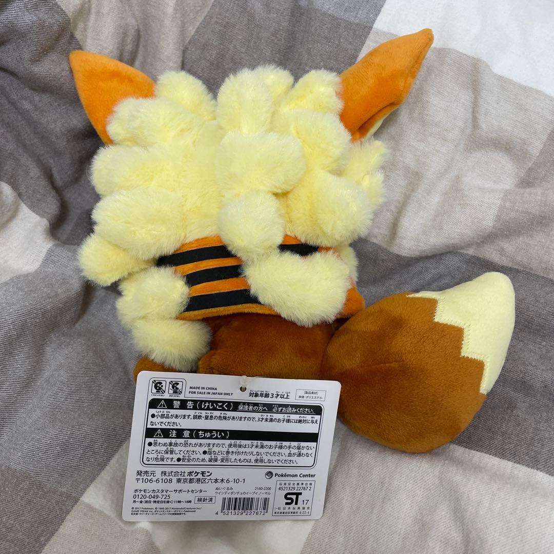 ウィンディポンチョのイーブイ　ノーマル　ぬいぐるみ　ポケモンセンター　沖縄　限定