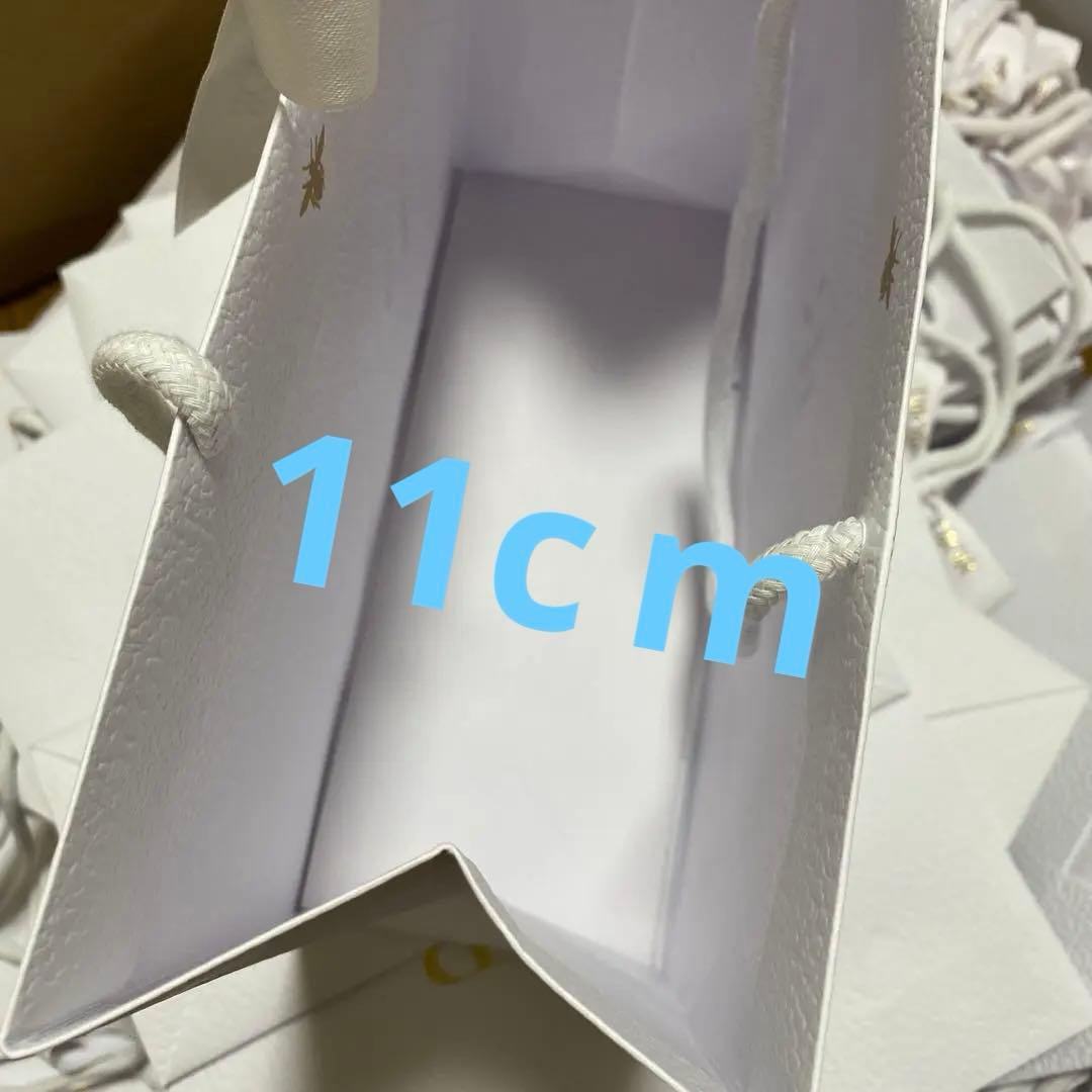 Dior ショップ袋 白 レザー調　ラッピング付き