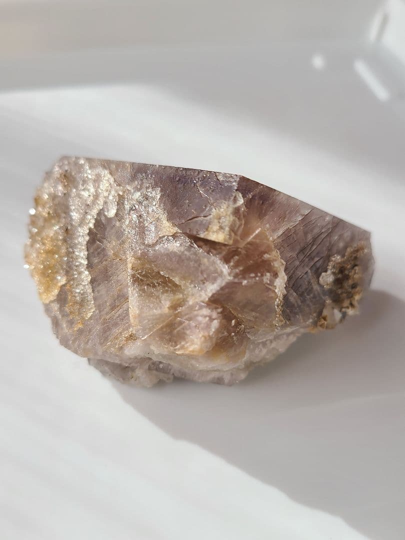 Sherry Twins Pocket 蛍石標本