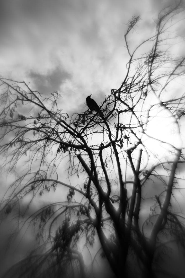 Helios 44M-4 58mm f/2 グルグルボケスペシャル