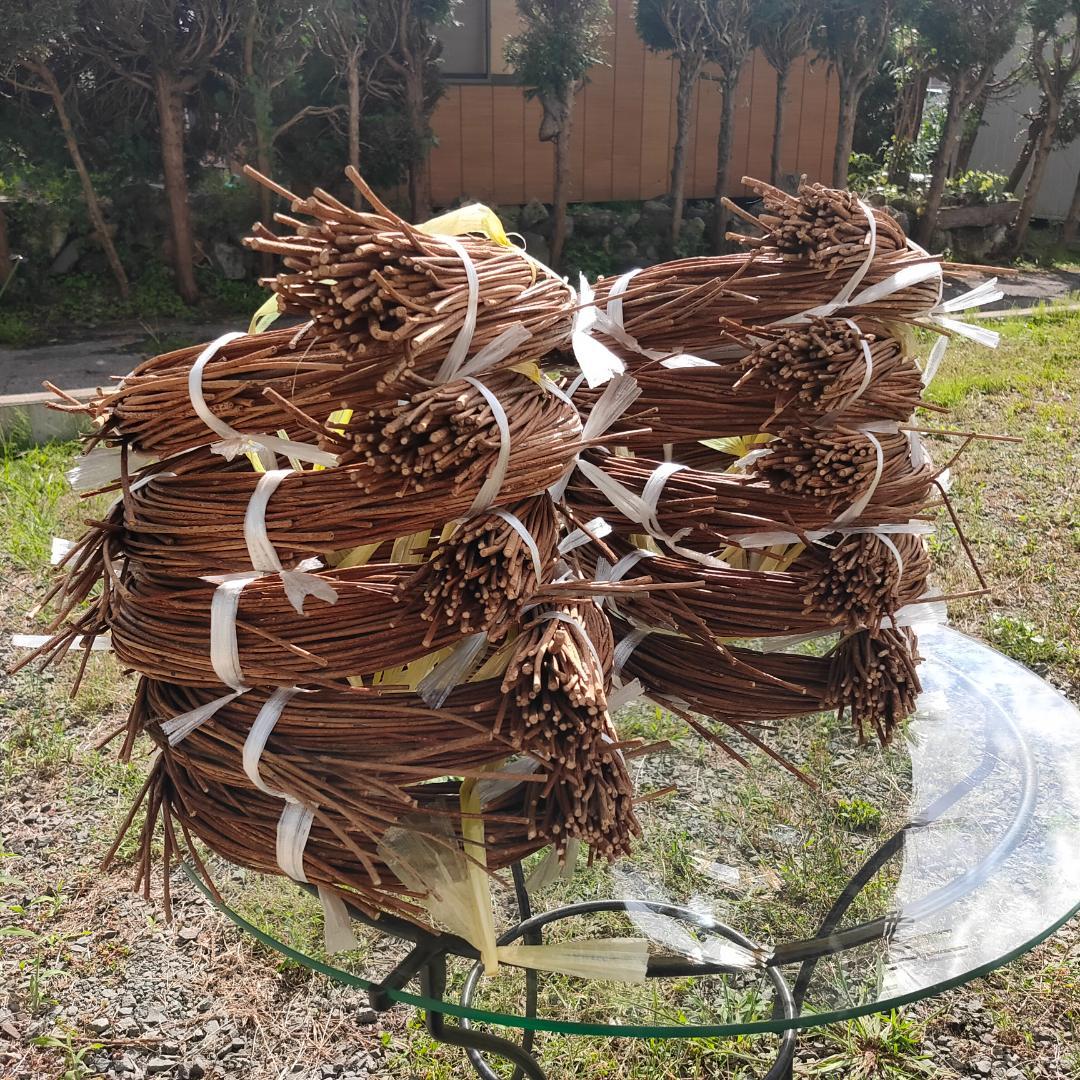 青森県岩木山採取　あけび蔓　70cm～150cm　5kg