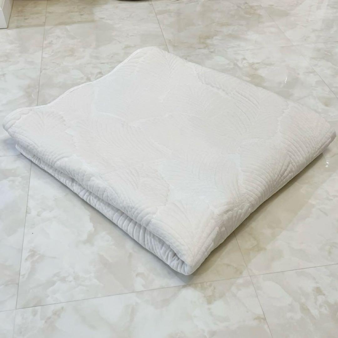 ZARA  ザラホーム　マルチカバー　クッションカバー