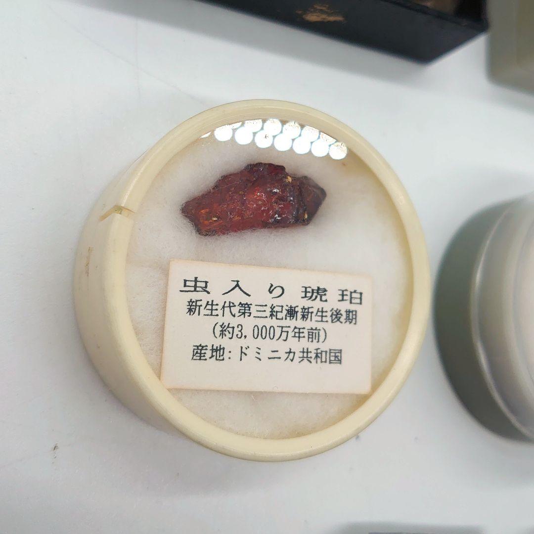 化石 ストーン 海外 標本 アンティーク まとめ売り