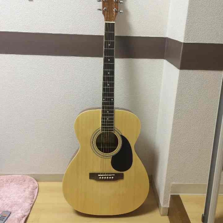 アコギ  ケース付き