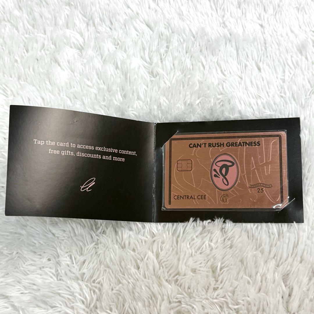 【付属品付き・海外限定】シナワールド カード キーホルダー ステッカー 袋