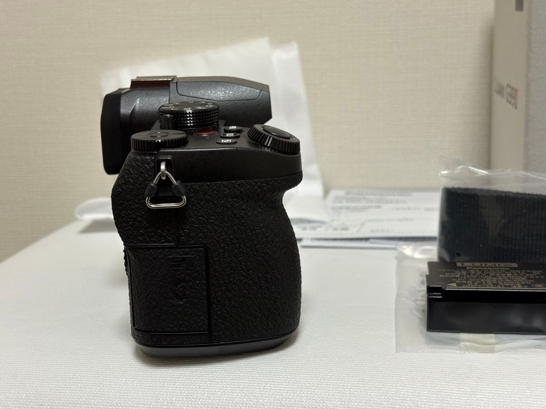 【美品】LUMIX G99M2 G99II ボディ 付属有
