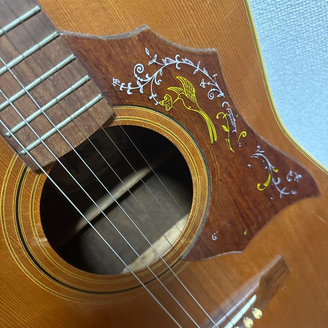 Gibson？ アコースティックギター