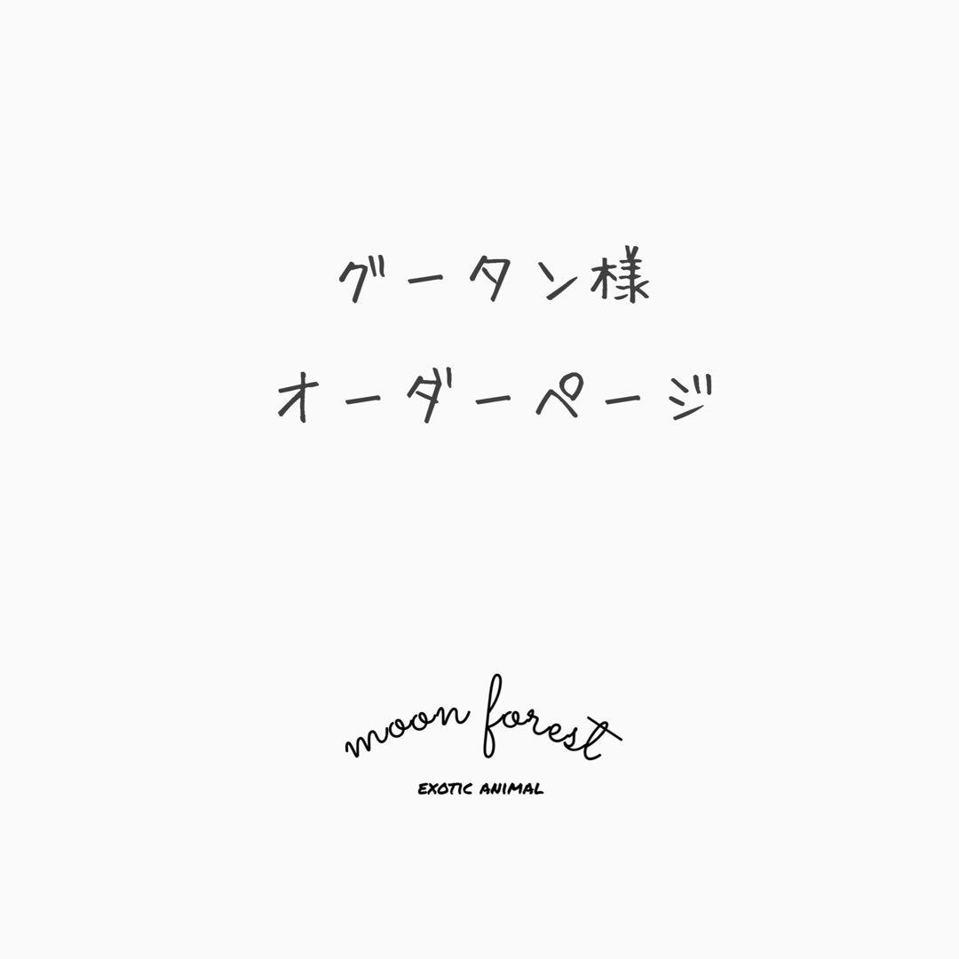 グータン様　オーダーページ ✩ お出かけポーチ モモンガポーチ