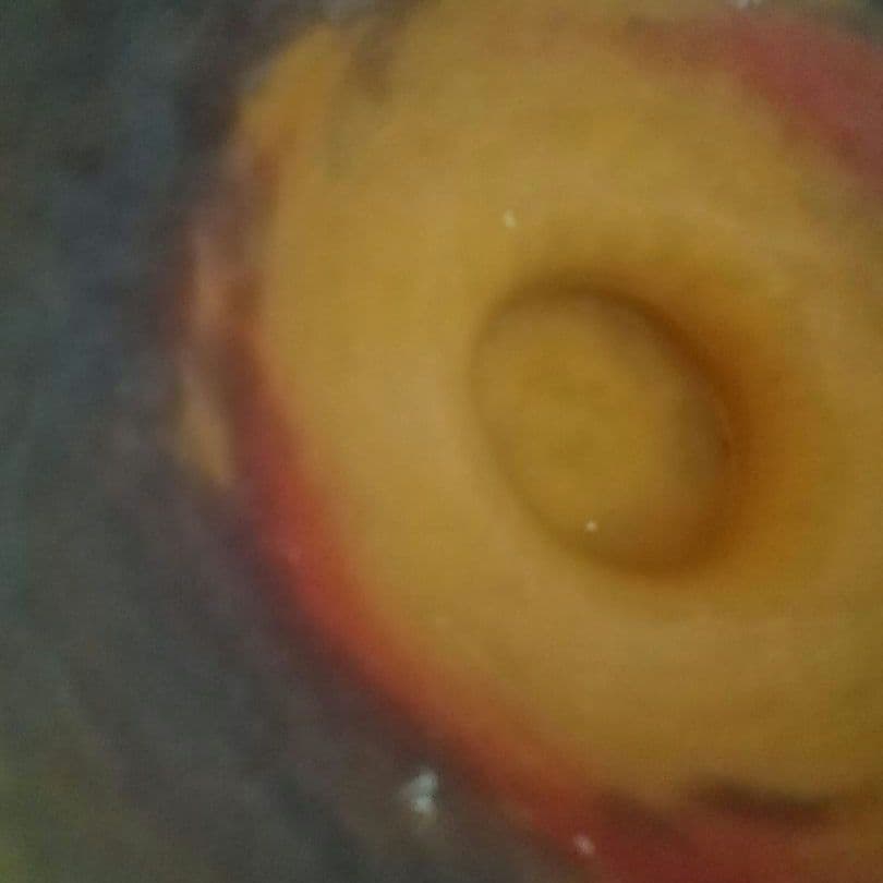 アール・ヌーヴォー　コンポート　アンティーク　ミューラー　ヴィトリオフィカシオン