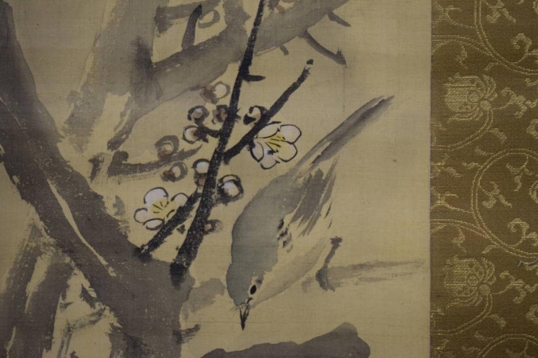 模写/圓山応挙/円山応挙/白梅に鴬図/絹表装/布袋屋掛軸HI-74