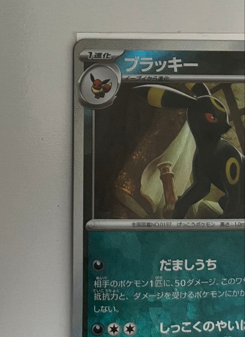 ブラッキー マスターボールミラー　SV8a テラスタルフェスex