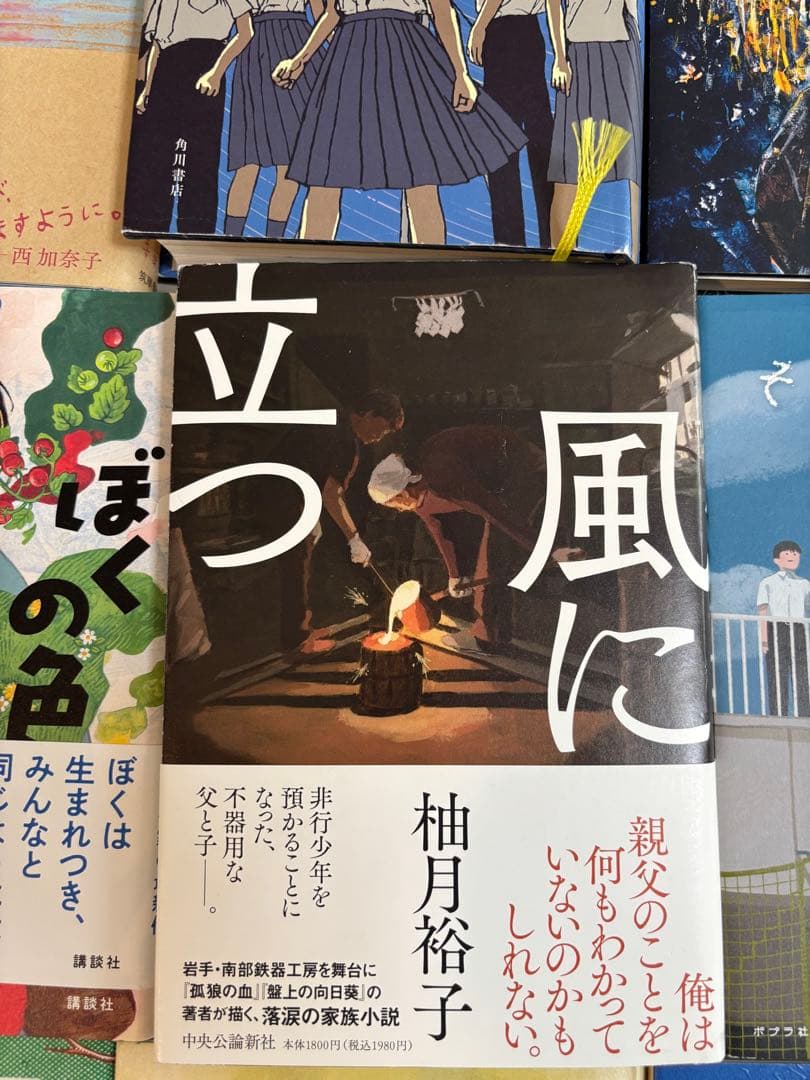 中学受験　国語対策用　出題頻出本　20冊セット