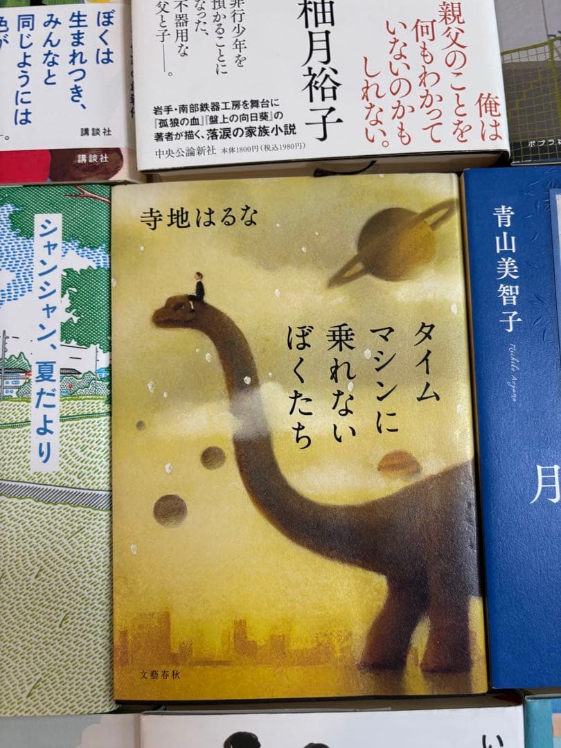 中学受験　国語対策用　出題頻出本　20冊セット