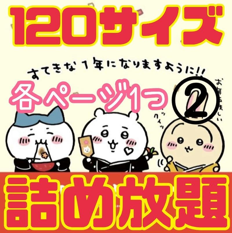 詰め放題　【120サイズ】②