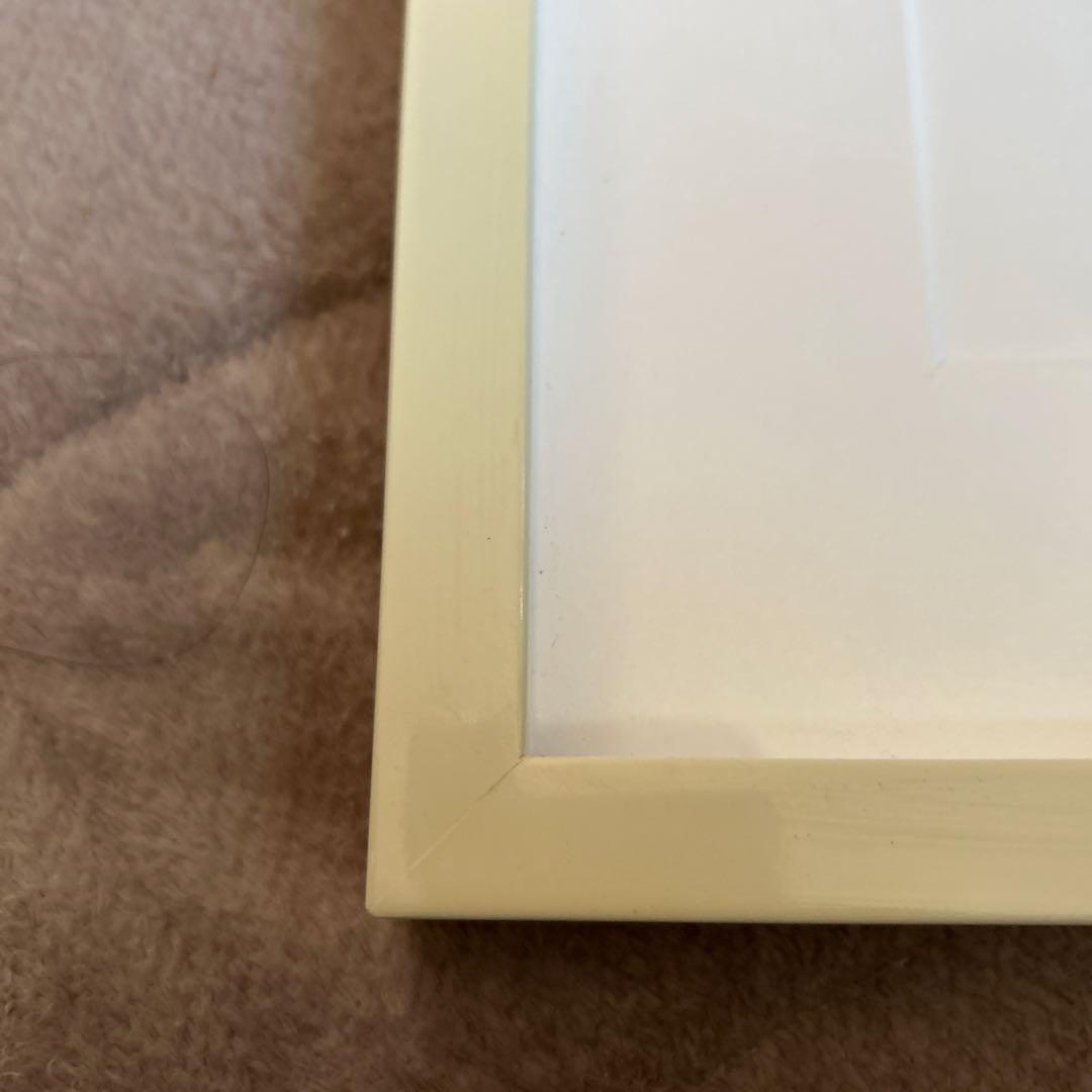 SHU Ｉcanシリーズ犬