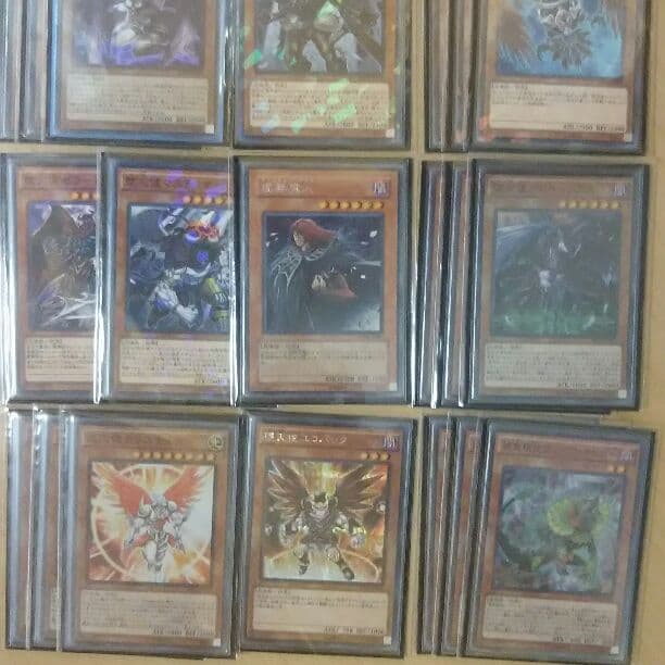 捕食植物堕天使デッキ 遊戯王