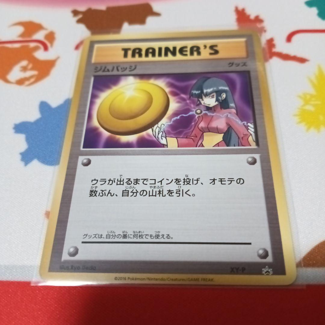 ジムバッチ　タケシ　マチス　エリカ　カスミ　ナツメ　サカキ