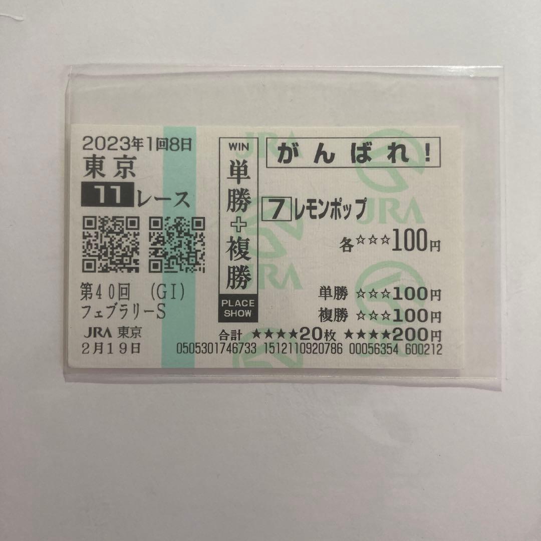 レモンポップ さきたま杯現地馬券 パンフレット フェブラリーS応援馬券 セット