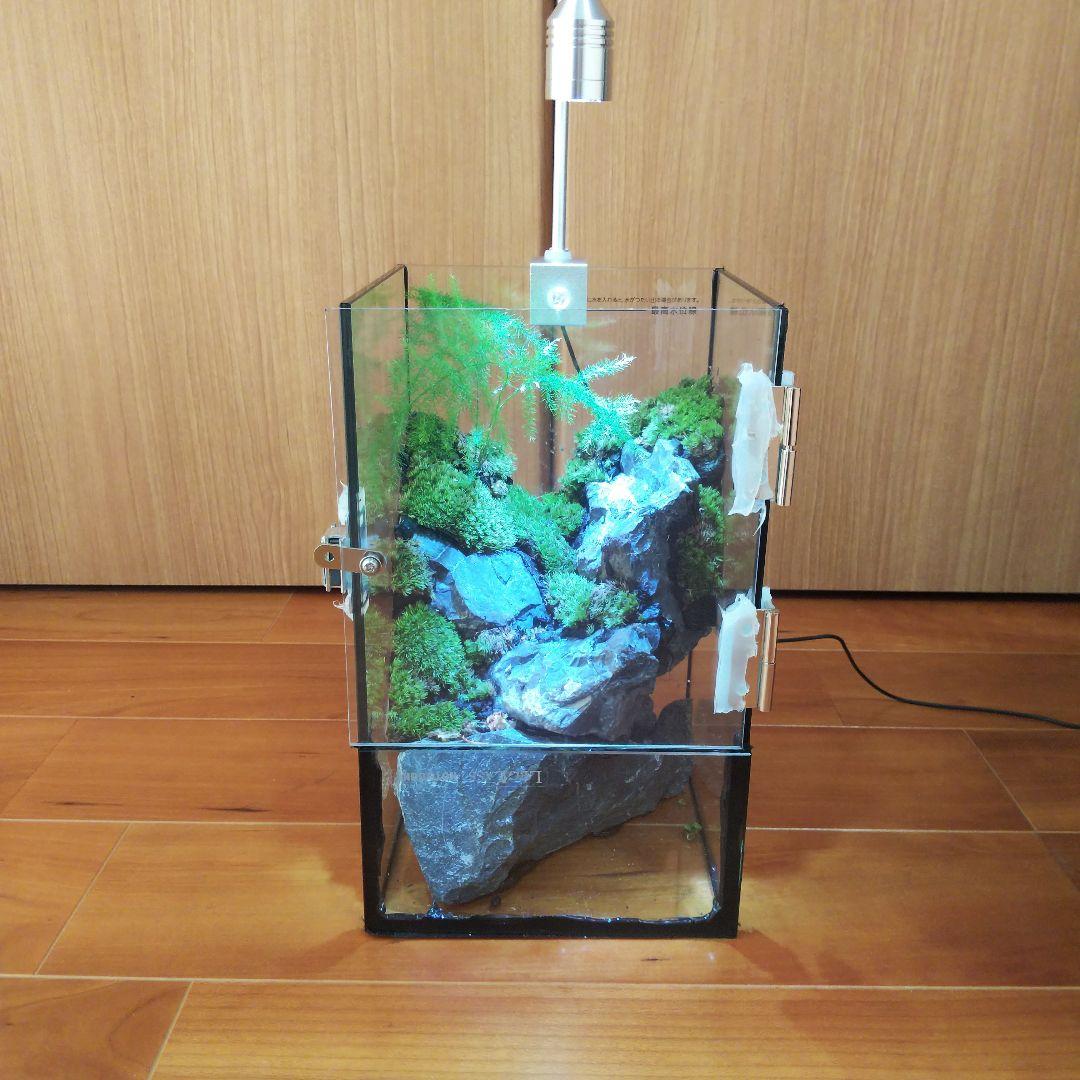 【受注生産】扉付き水槽　イモリウム パルダリウム テラリウム