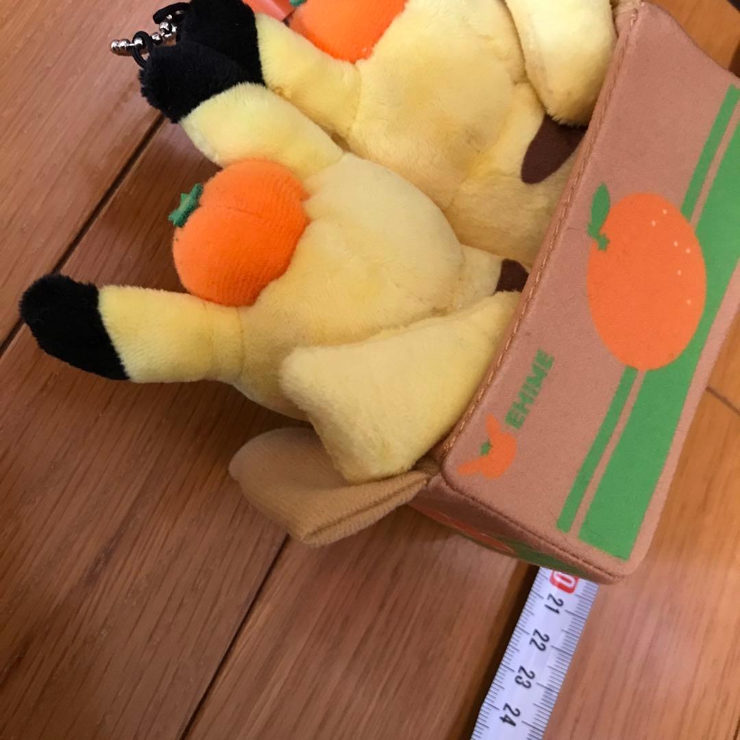 ペアピカチュウとえひめみかん　ぬいぐるみ　愛媛みかん　えひめみかん　愛媛　えひめ