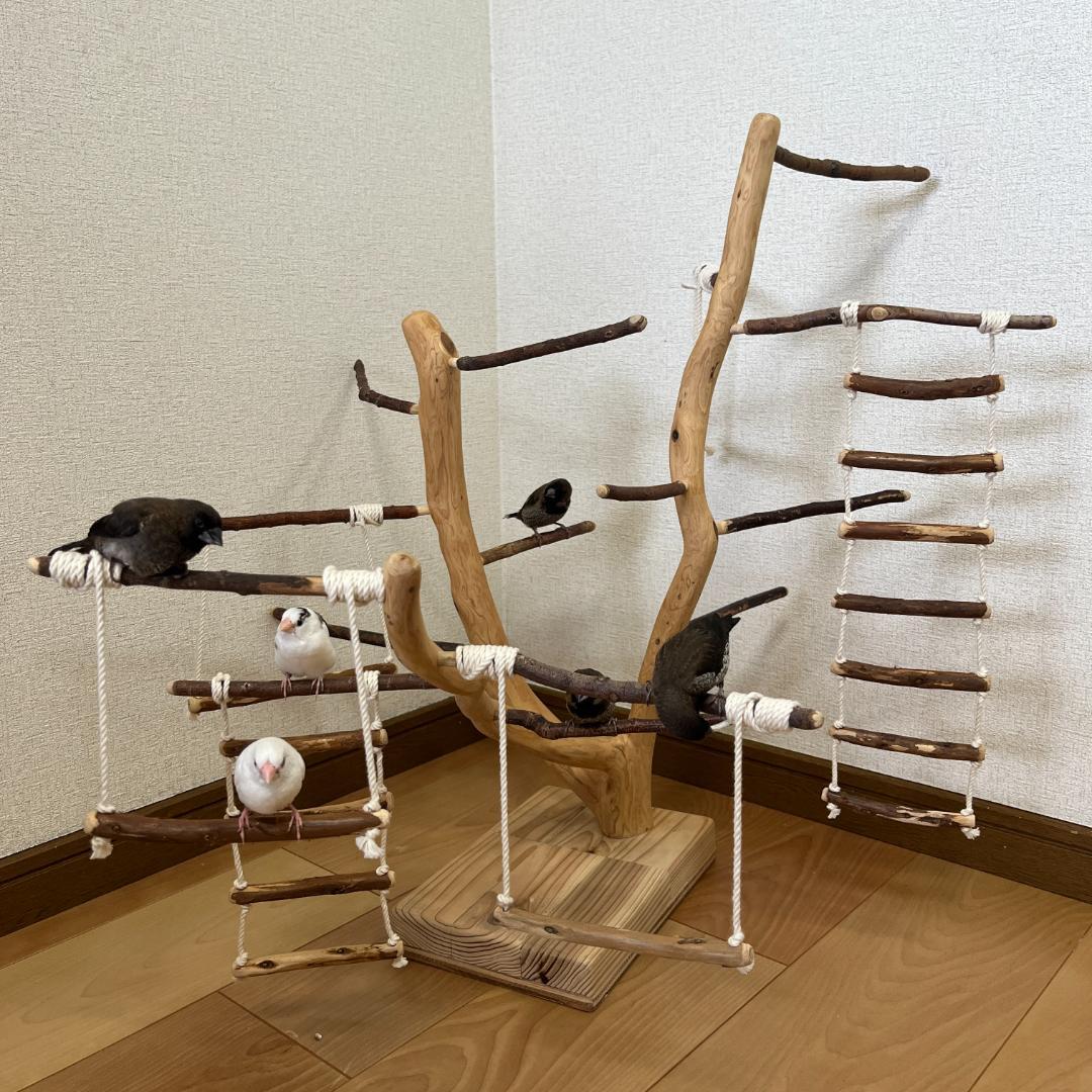 【小鳥用】あちこちブランコ&はしご付♬バードジム