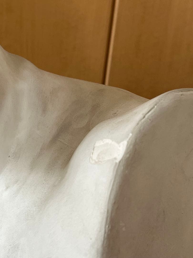 石膏像　ボルゲーゼ　闘士　美大受験