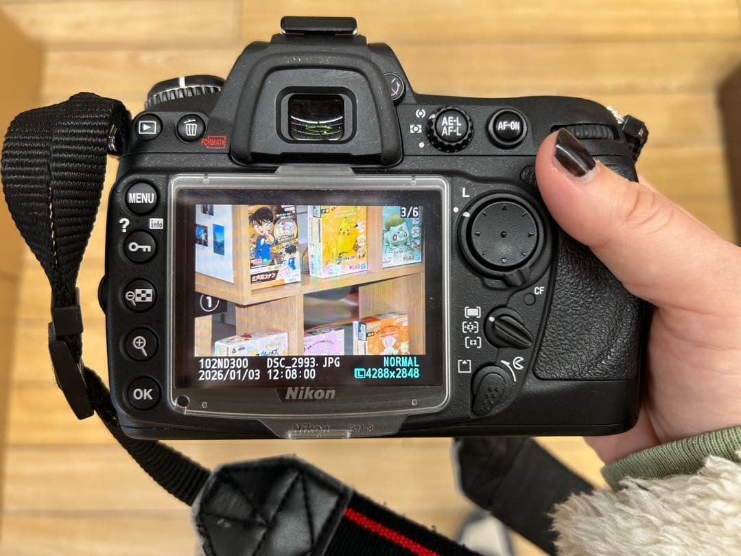 NikonD300本体 レンズ付き