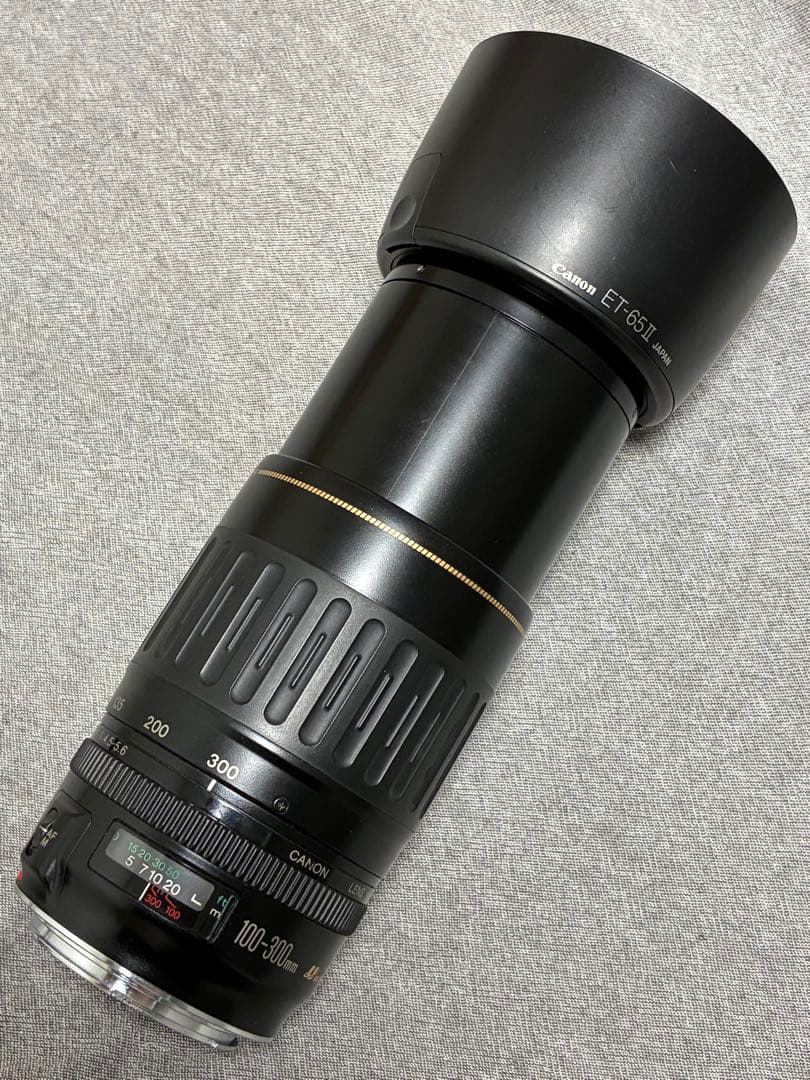 ⭐️美品⭐️キャノンCanon EF 100-300mm 4.5-5.6 USM