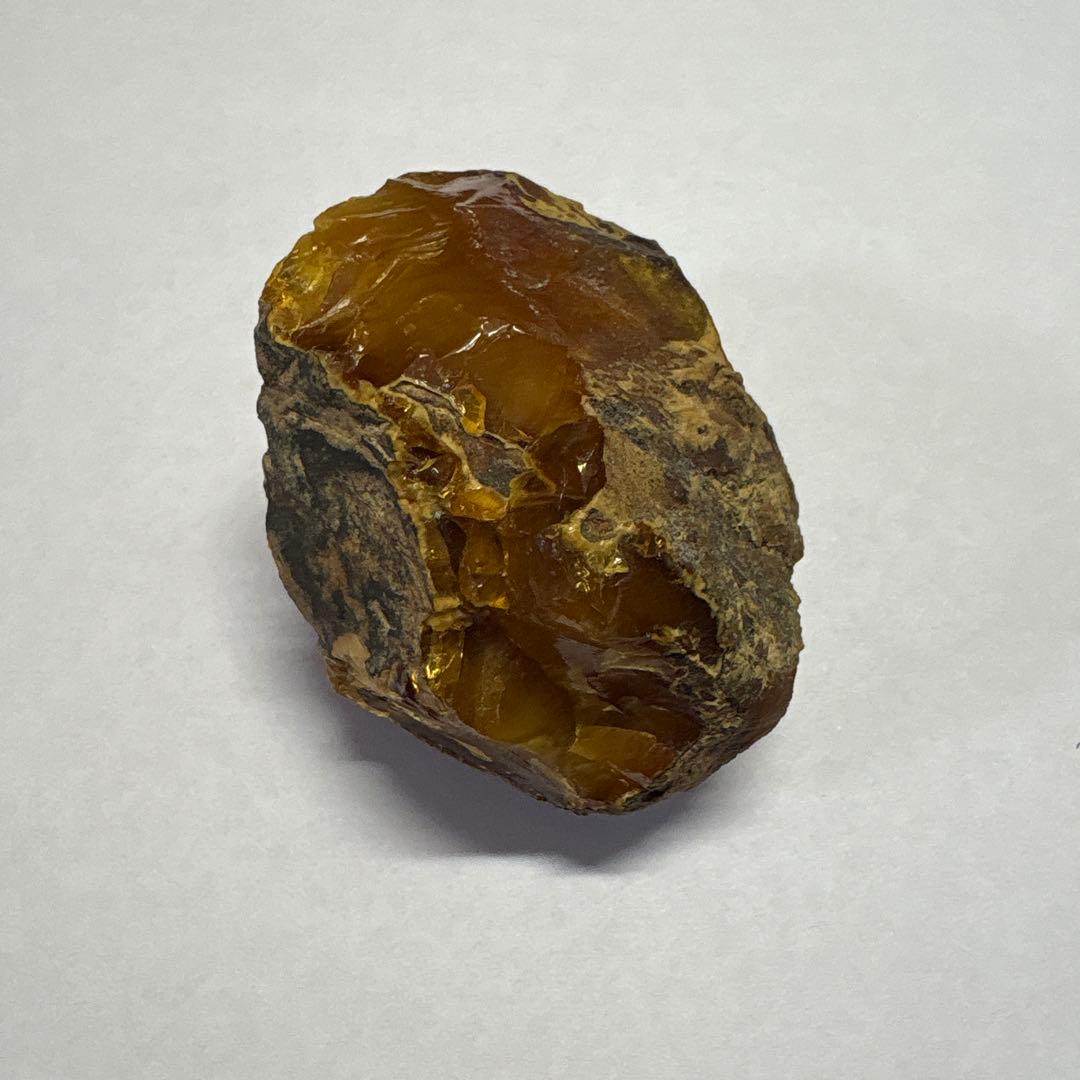 琥珀 アンバー 化石 宝石 原石 岩手県久慈産