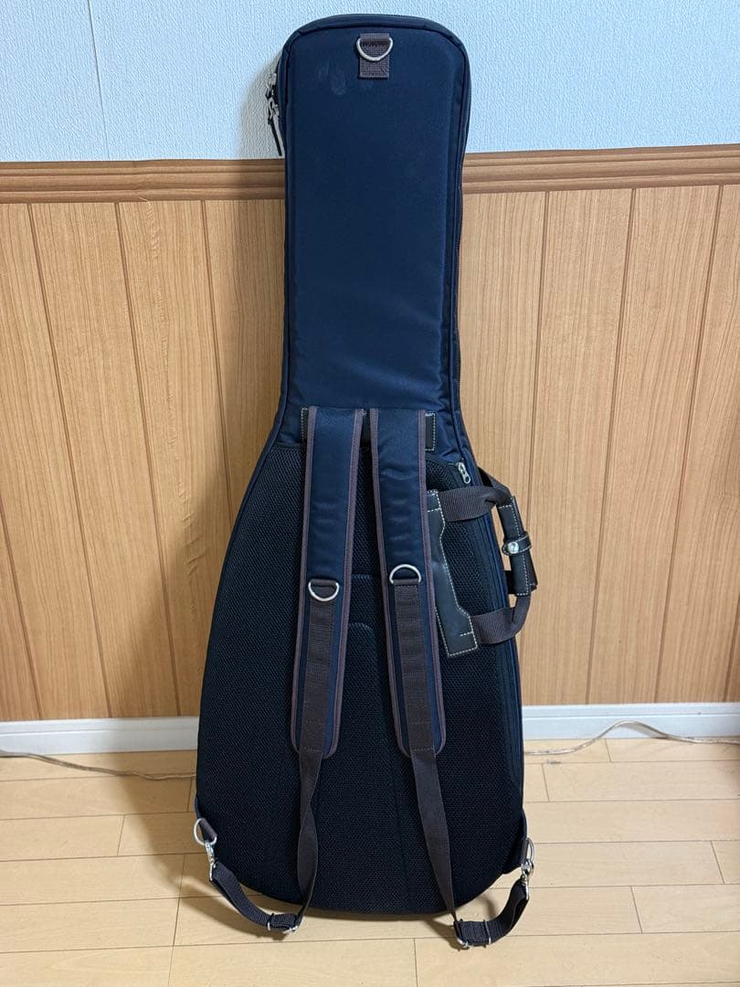 T’s Guitars Arc-STD VS100N マホガニー エボニー指板