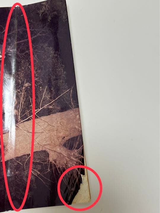 1989年 LUNACY LUNASEA デビュー前の写真