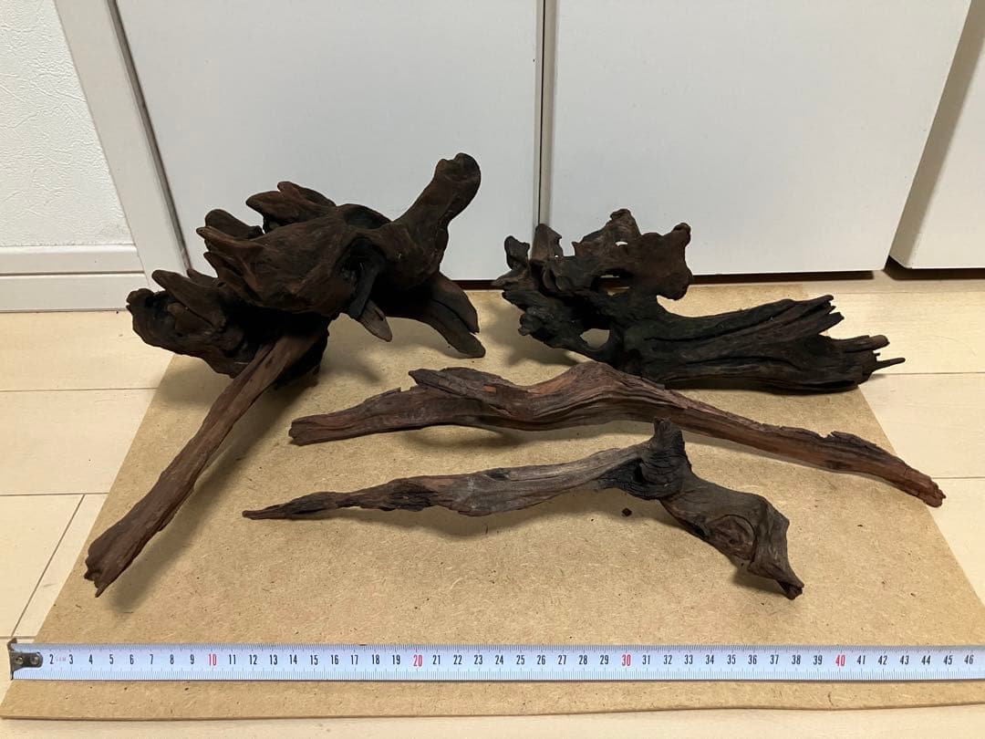 ADA ホーンウッド4つ