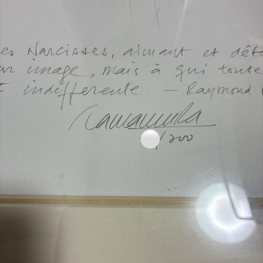 玉村豊男　水仙　版画　ジクレー　大型サイズ　額装品