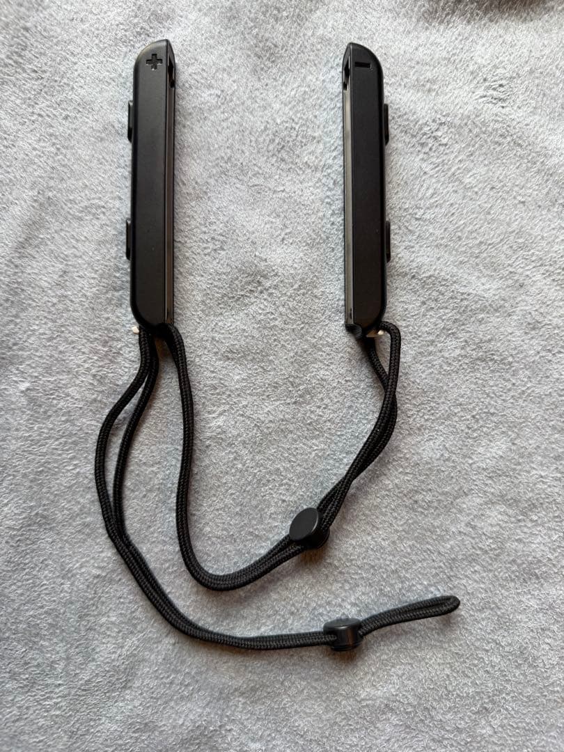 Nintendo Switch グレー 本体 専用ケース 任天堂　ホリコン